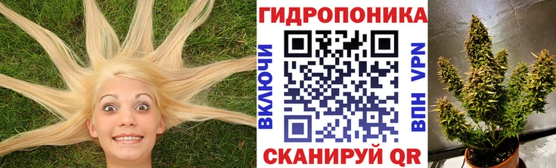 Бошки марихуана Ganja  Купить где  Буйнакск 